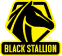 Black Stallion 1