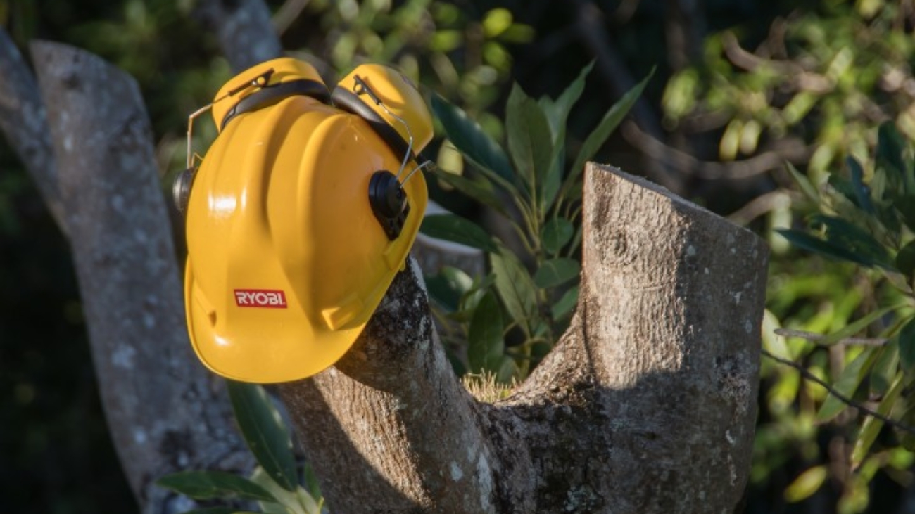 yellow hardhat on a free stump with earmuffs on top of the hat
