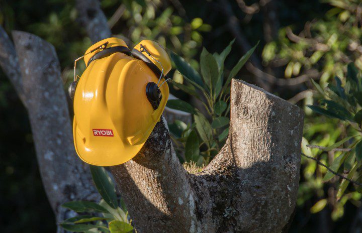 yellow hardhat on a free stump with earmuffs on top of the hat